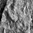 Podczas odbywających się w roku 2005 warsztatów triasowych, w kamieniołomie Kammerbruch (Niemcy: Turyngia), jeden z uczestników, Grzegorz Niedźwiedzki, natrafił na tropy późnotriasowych dinozaurów. Takie skamieniałości są bardzo istotne z punktu widzenia biostratygrafii triasu, ale też i wiedzy o dinozaurowych faunach przełomu okresów.