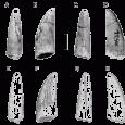 Znaleziono kilka zębów ceratozauryda w formacji Tacuarembó (kimeryd-hoteryw; 155-130 Ma) w Urugwaju (Ameryka Południowa).