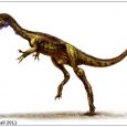 Opisano najstarszego niewątpliwego teropoda - Eodromaeus murphi.