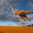 Linhenykus to nowoopisany rodzaj alwarezzauryda  z późnej kredy Azji, ukazujący najbardziej ekstremalną redukcję palców kończyn przednich wśród tych teropodów. 