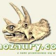 Dinozaury.com! świętuje swoje szóste urodziny!