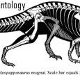 Prozauropody to bazalne zauropodomorfy, które stanowiły główny element fauny lądowej z noryku, aż do czasu ich wyginięcia w toarku. Ich status jako grupy naturalnej budzi wiele kontrowersji. W streszczanej tu pracy opisany został Adeopapposaurus mognai, nowy zauropodomorf z formacji Cañón del Colorado z północno-zachodniej Argentyny. 