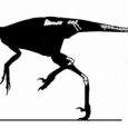 Zanabazar to spory troodontyd żyjący na terenie Azji w późnej kredzie. Był szybkim, zwinnym, inteligentnym i zapewne opierzonym dinozaurem.