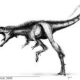 Pochodzenie tyranozaurydów (Tyrannosauridae) - dużych drapieżnych dinozaurów z późnej kredy (~80-65 Ma) z Azji i Ameryki Północnej, należących do obszerniejszego taksonu Tyrannosauroidea, przez długi czas było nieznane. Najpierw łączono je wraz z innymi dużymi teropodami w polifiletyczne Carnosauria, później z mniejszymi grupami - np. jurajskimi allozaurami (Paul, 1988). Dopiero na początku lat 90-tych (Holtz, 1994) stwierdzono, że są bliżej spokrewnione z ptakami.