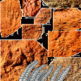 Ze skał ediakrańskich południowej Australii opisano nowy, pospolity tam, gatunek organizmu o miękkim ciele, który wykazuje ciekawą formę zsynchronizowanego, grupowego wzrostu. Być może to prymitywna gąbka lub parzydełkowiec. 