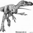 Właśnie opisano nowy gatunek stokesozaura na podstawie niekompletnego szkieletu pozaczaszkowego odnalezionego w późnojurajskich (wczesny tyton, ok. 151-147 Ma) osadach z Dorset w Anglii. 