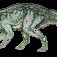 Autor: Sebastian Oziemski 14.09.2007. Cerasinops to nowoopisany bazalny leptoceratopsyd (Leptoceratopsidae), którego skamieniałości zostały odkryte w regionie Two Medicine w późnokredowych skałach (kampan). Ich wiek datuje sie na około 70 milionów lat temu. Opisany gatunek to: Cerasinops hodgskissi (Chinnery i Horner, 2007). Cerasinops hodgskissi rysunek pochodzi z tej strony