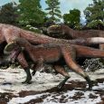 Osiągał 9 metrów długości, ważył blisko 1,5 tony i żył w kredzie na terenie dzisiejszych Chin. Nowoopisany Yutyrannus huali, bo o nim mowa, jest największym znanym opierzonym zwierzęciem jakie chodziło po naszej planecie.