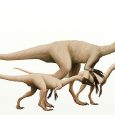 W tym tygodniu polecamy opis celofyza z Encyklopedii DInozaury.com!