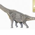 Polecamy opis brachiozaura w Encyklopedii Dinozaury.com