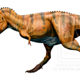 W tym tygodniu polecamy opis tyranozaura z Encyklopedii DInozaury.com!