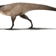 Carnotaurus sastrei - opis tygodnia w naszej Encyklopedii.