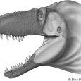 Naukowcy opisali nowy gatunek daspletozaura