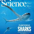 Ryby chrzęstnoszkieletowe eksperymentowały z lotem podwodnym wcześniej, niż myślano.